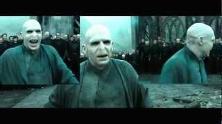 Voldemort's Laugh Sparta Remix