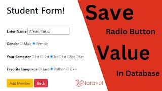 Insert a Radio Button Value Into Database Using Laravel - Laravel Forms