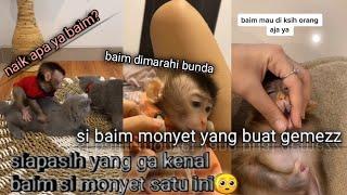 kumpulan video tiktok bunda rexie vincie ||Baim bikin gemezz