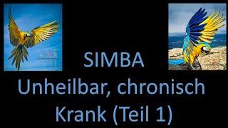 Simba - chronisch, unheilbar Krank Teil 1