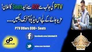 800+ Jobs In PTV | Jobs In Pakistan Television | JobsHub 2019