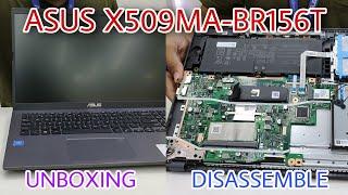 ASUS X509MA-BR156T UNBOXING AND DISASSEMBLE | SPECS AND UPGRADE | KUDATECH