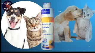 Best Anti-Fungal Shampoo for Dogs |Your Pet’s Skin Healthy dog skin care shampoo|dog skin care video