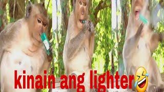 Mga katatawanang video na gawa nang mga kolukoy na mga vluger hahaha