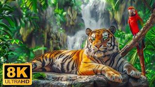 Animal Paradise 8K ULTRA HD - Relaxing Scenery Film With Soothing Music