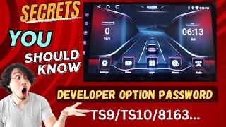 Developer option password in MTK Android Car stereo. How to enable Developer option in Car player.