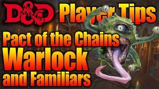 Pact of the Chains Warlock and Familiars in Your Dungeons and Dragons Game - D&D Player Tips