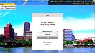 DBT Peer Connections Skills Training Academy Online: A Preview