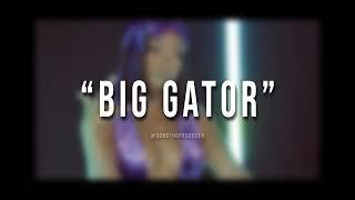 [FREE] Lola Brooke x BabyFace Ray Type Beat 2022 - "Big Gator"