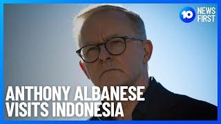 Prime Minister Anthony Albanese Visits Jakarta Indonesia | 10 News First