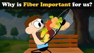 Why is Fiber Important for us? + more videos | #aumsum #kids #science #education #children