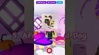 TOP 5 MOST PREPPY PETS IN ADOPT ME #roblox #adoptme #gaming #viralvideo