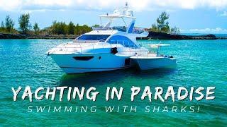 A Typical Day In The Abacos *Swimming With Sharks and Stingrays*