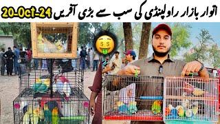 Sunday Birds Market Rawalpindi || Khanna Pull birds market Rawalpindi || Best Market of Rawalpindi