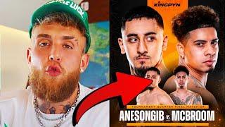 Jake Paul Brutally Honest On Gib vs Austin Mcbroom