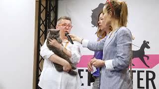 Quattrozampeinfiera - Il mondo a misura di cane e gatto - reel 2