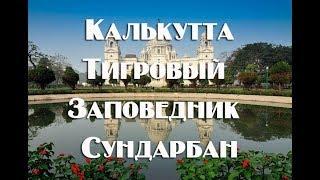 Индия , Калькутта и Нац Парк Сундарбан самостоятельно