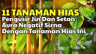 Merinding ! 11 Tanaman Hias Pengusir Jin dan Setan