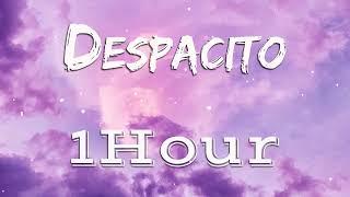 Despacito 1 hour