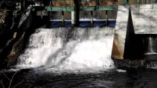 MOOSE POND DAM - DENMARK, MAINE  - video by Douglas K. Poor