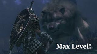 What Happens if You Max Out Your Character in Dark Souls on the First Playthrough?