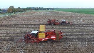 Aardappels rooien 2017 met Grimme Varitron 270