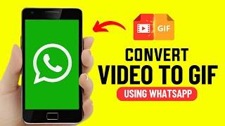 How to Make Gif From Video in WhatsApp 