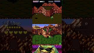 NES/Dendy vs Sega: Battletoads