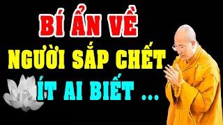 Người Trước Khi CH.ẾT Thường Thấy Điều Này... Nghe Để Biết Sau Khi Chết Ta Đi Về Đâu? Thầy Thái Minh