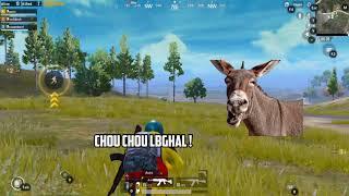 Pubg DZ  | ببجي ديزاد ⁦⁩ : تحراااااش 