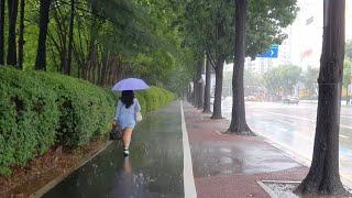 Hypnotic Heavy Rain Walk Washes All Your Worries. Relaxing Sound for Sleep Study White Noise ASMR