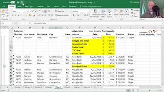 Excel Subtotals with Conditional Formatting by Chris Menard