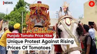 Tomato Price Hike: Punjab Man Finds Unique Way To Protest Against Rising Prices Of Tomatoes
