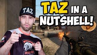 TAZ in a NUTSHELL! (Funny Moments,Highlights and more)