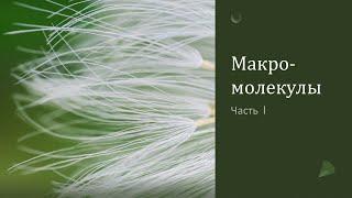 Макромолекулы (часть 1)