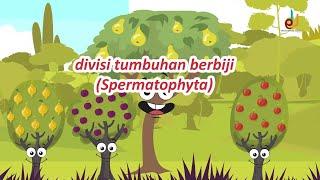 Kingdom Plantae | Tumbuhan Berbiji | EDURAYA MENGAJAR | IPA Kelas 7 SMP/MTs