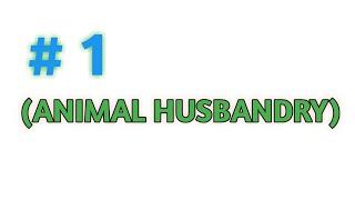 what is animal husbandry? define animal husbandry. definition of animal husbandry.