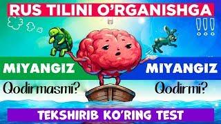 Rus tilini o'rganishga miyanggiz kuchi yetadimi? O'zinggizni tekshirib ko'ring. T E S T