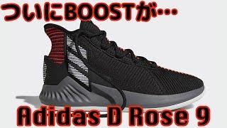 【バッシュ紹介】Adidas D Rose 9