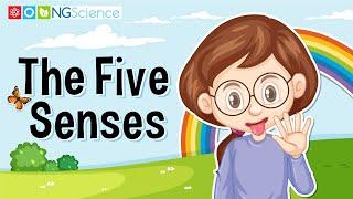 The Five Senses