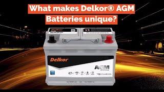 What makes Delkor® AGM Batteries unique?