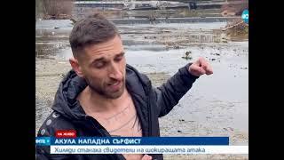 Акула напада сърфист