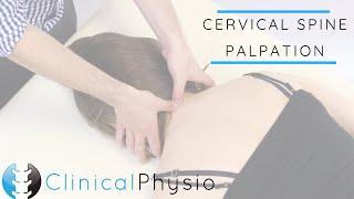 Cervical Spine Palpation | Clinical Physio