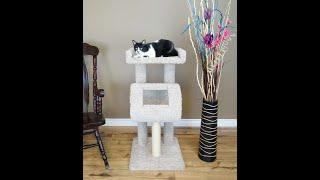 New Cat Condos Premier  Cat Climber Cat Tree