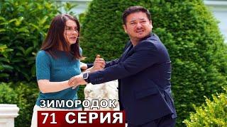 Зимородок 71 серия русская озвучка