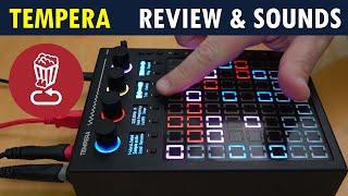 BeetleCrab TEMPERA // A New Approach to Granular Synthesis // Review & Tutorial