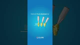 Multi-Unit Try-in Abutment Set