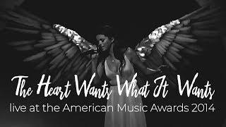 Selena Gomez - The Heart Wants What It Wants (live at the American Music Awards 2014) [audio]