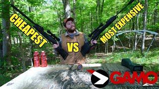 CHEAPEST VS MOST EXPENSIVE GAMO SWARM RIFLE. MAGNUM VS WHISPER