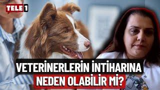 "Uyutmayı kabul etmeyenler işinden edilebilir!" Ebru Yalçın'dan 'kısırlaştırma seferberliği çağrısı'